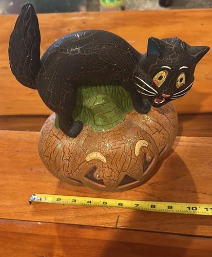 Halloween black cat - cat, on