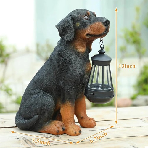 High quality animal series - high-quality,