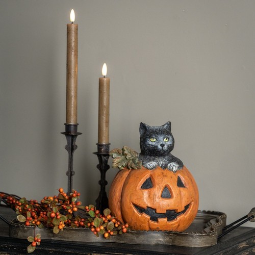 Black cat jack lantern - in, jack-o-lantern